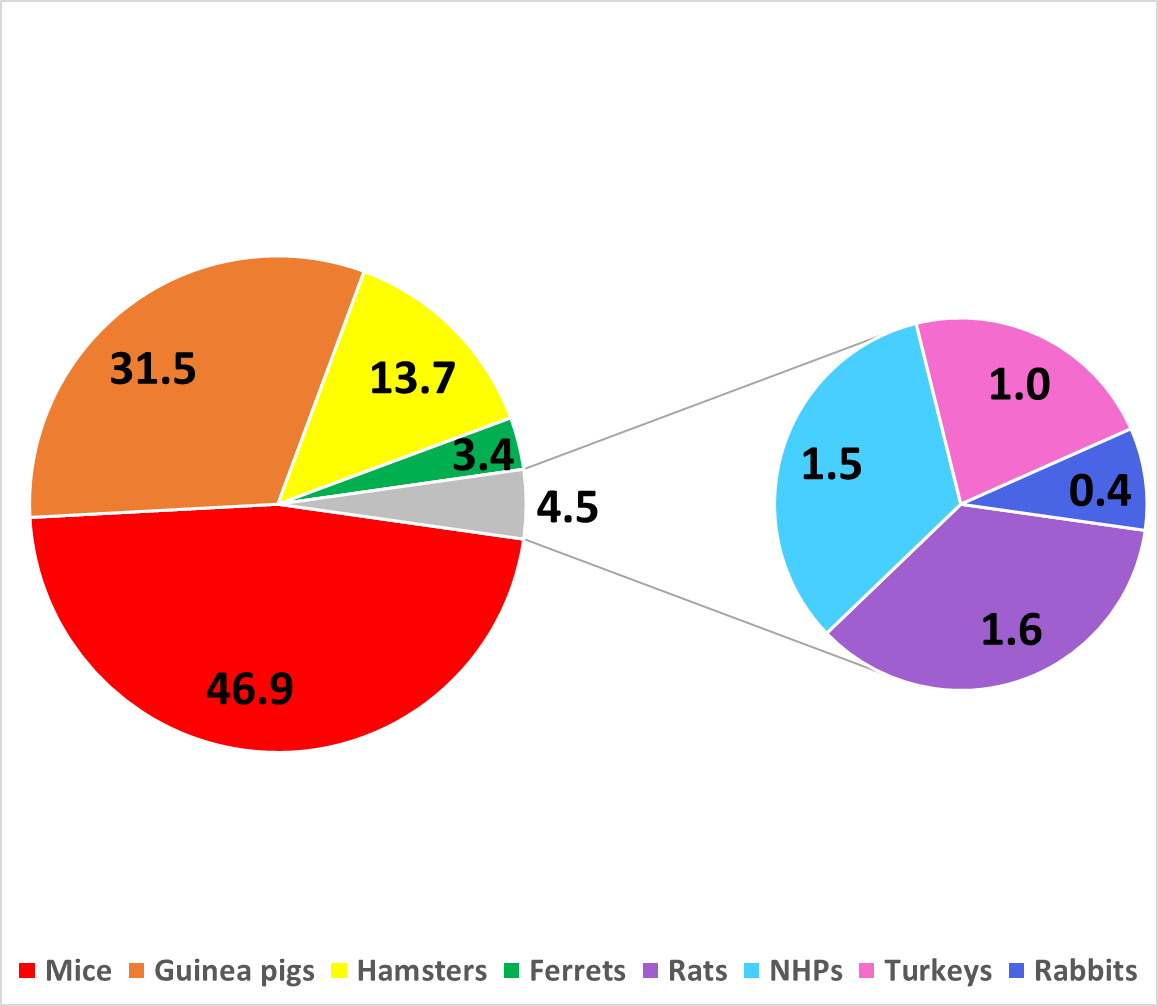 Annual UKHSA animal usage over the last 5 years by species.