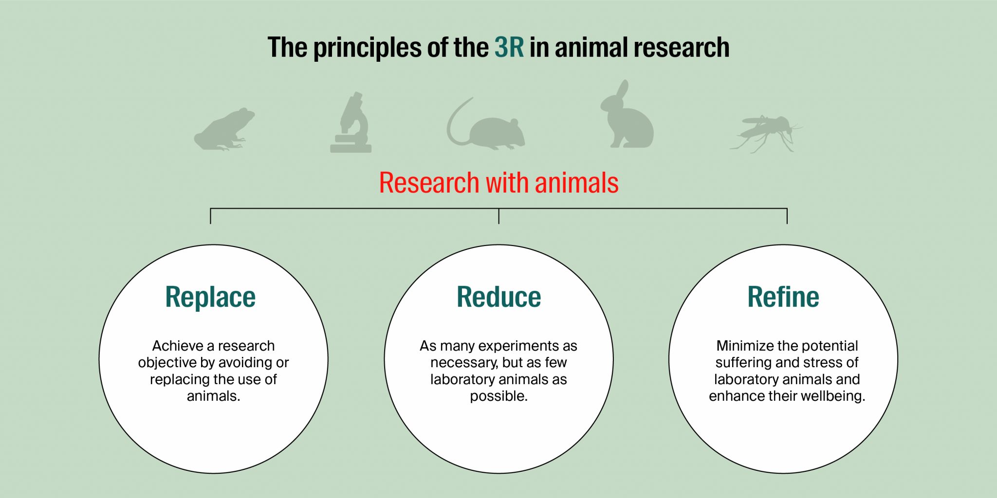 The 3 R's - Replacement, Reduction and Refinement.