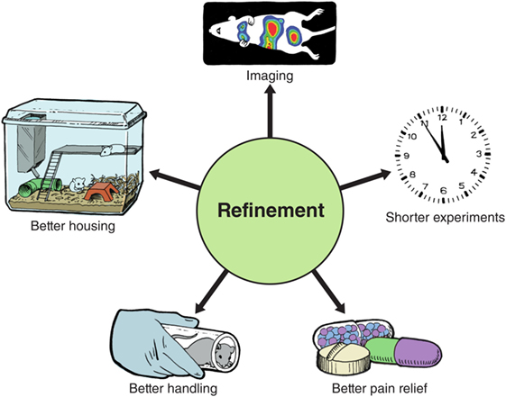 refinement