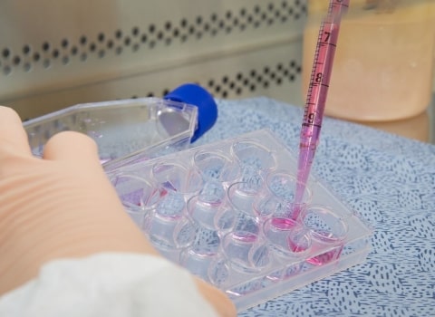 Scientist using a pipette.